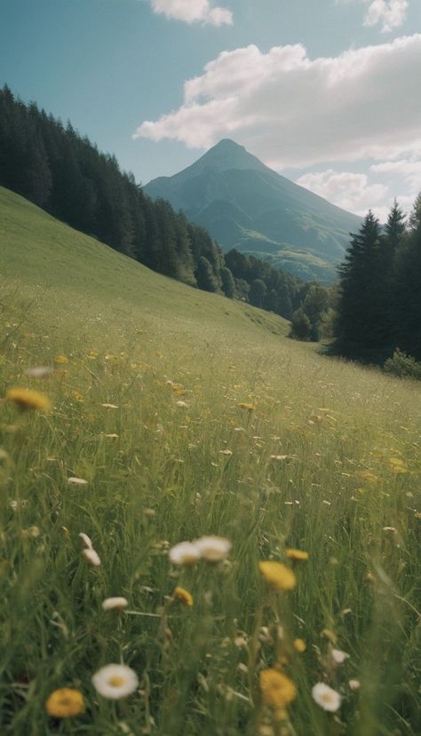 Embrace the serene beauty of a mountain meadow in bloom, where peace whispers with the wind this spring and summer Meadow Mountain, Mountain Meadow, The Meadows, In Bloom, Hunger Games, The Wind, The Mountain, Digital Art, Collage