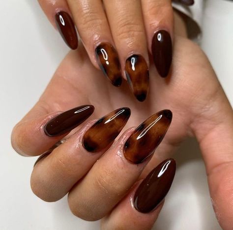 Torte Shell Nails, Nail Inspo Tortoise Shell, Nail Tortoise Shell, Hailey Bieber Tortoise Nails, Tortoise Shell Acrylic Nails, Autumn Nails Tortoise Shell, Tortieshell Nails, Fall Nail Designs Tortoise, Tortoise Shell Nails Blooming Gel