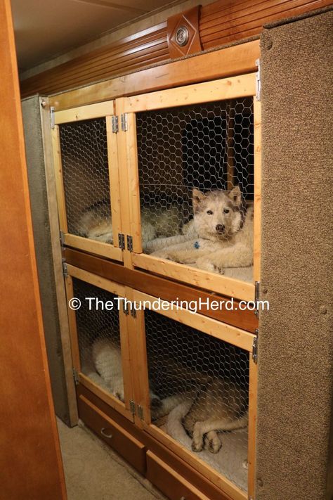 Dog Kennels In Rv, Camper Dog Kennel, Rv Dog Kennel, Goth Camper, Rv Pet, Rv Dog, Camper Dog, Dog Van, Dog Transport