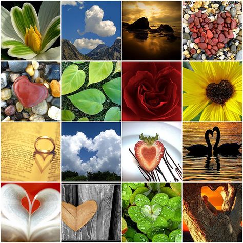 Hearts-on-Nature Hearts In Nature, Collage Nature, Heart In Nature, Heart Collage, Nature Collage, God's Heart, I Love Heart, Heart Images, My Funny Valentine