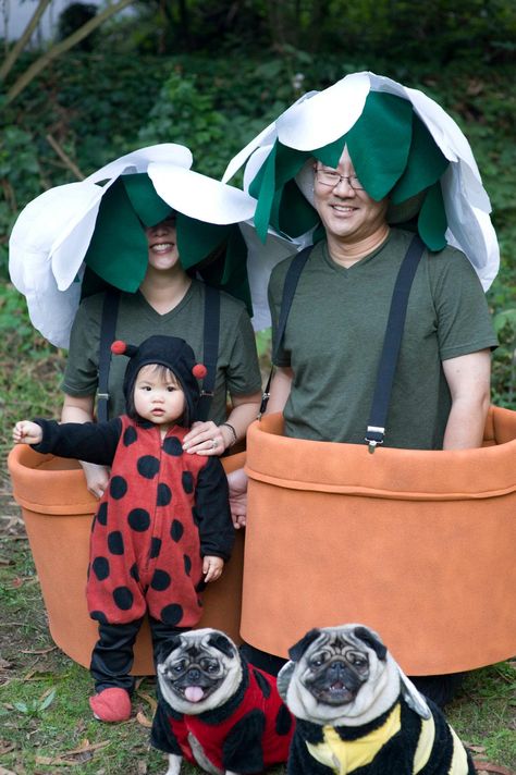 Family costume: Potted Plants, Ladybugs, Bee Family Costumes With Baby, Costumes With Baby, Vegetable Costumes, Halloween Costumes Diy Couples, Funny Couple Halloween Costumes, Halloween Costumes To Make, Ladybug Costume, Baby Ladybug, Diy Kostüm