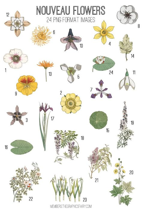 Art Nouveau Flowers Kit! Graphics Fairy Premium Membership Art Nouveau Fairy Illustrations, Art Nouveau Botanical Illustrations, Art & Crafts, Art Nouveau Flowers Illustration Floral Patterns, Art Nuevo Flowers, Arts And Crafts Flowers, Art Nouveau Spring, Art Nouveau Flowers Pattern, Art Nouveau Flower Design