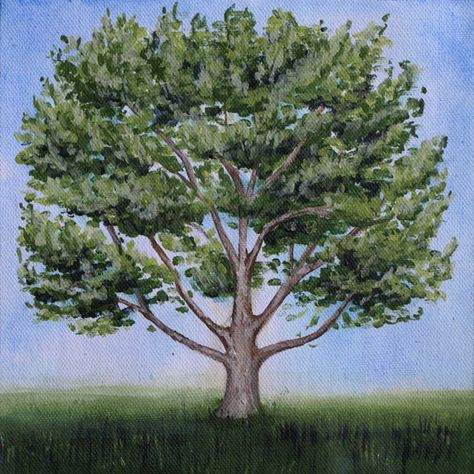 sycamore tree on Behance Sycamore Tree Art, Sycamore Tree Painting, Sycamore Tree Drawing, Sycamore Tree Tattoo, Sycamore Tree, Bible Journaling Ideas Drawings, Tree Drawing, Journaling Ideas, Tree Tattoo