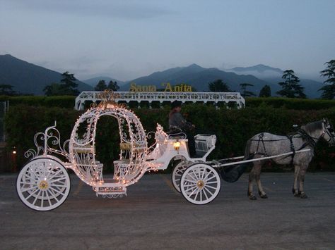 Horse And Carriage Prom, Quinceanera Entrance Horse, Wedding Carriage Horse, Wedding Horse And Carriage, Fairytale Theme Quinceanera, Carriage Photoshoot, Carriage For Wedding, Sweet 16 Cinderella Theme, Fairytale Carriage