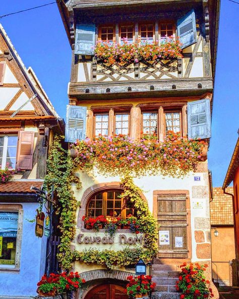 Image may contain: plant, house, tree and outdoor House Tree, Plant House, French Chic, Heaven On Earth, Travel Dreams, Scotland, Bucket List, France, House Styles