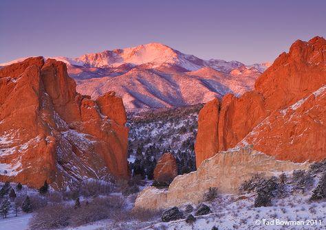 Snowy Pikes Peak Morning Colorado Springs, Colorado Sunrise Spring, Sandstone Rock, Colorado Photos, Pikes Peak Colorado, Red Sandstone, Waterfall Pictures, Colorado Photography, Winter Landscapes, Mountain Pictures