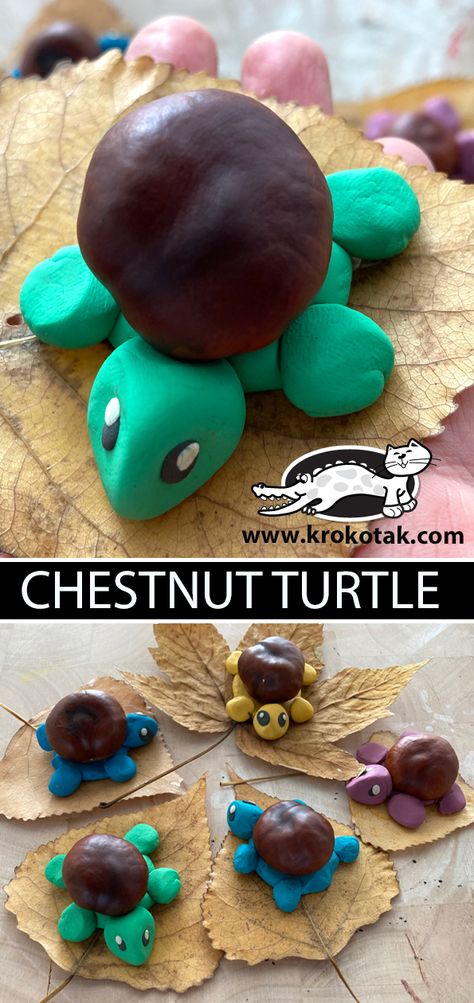 krokotak | clay Conkers Craft, Pasta Crafts, American Indian Crafts, Diy Paper Christmas Tree, Simple Holiday Cards, Turtle Crafts, Montessori Toddler Activities, Children Activities, Fish Crafts