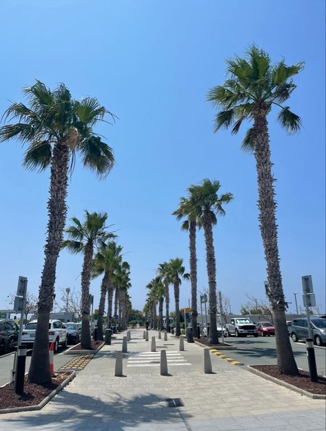 #airport #paphos #cyprus Paphos Cyprus Aesthetic, Pathos Cyprus, Pissouri Cyprus, Cyprus Aesthetic, Cyprus Holiday, Cyprus Paphos, Paphos Cyprus, Holiday Travel Destinations, Ayia Napa