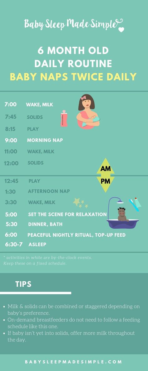 6 Month Sleep Regression, Baby Food Schedule, 6 Month Baby Food, Taking Care Of Baby, Sleep Train, Baby Feeding Chart, Baby Routine, Baby Schedule, Baby Sleep Schedule