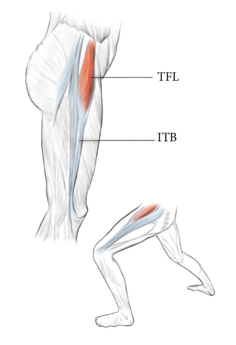 Tfl Muscle, Best Exercise For Hips, Tensor Fasciae Latae, Fascia Lata, Hip Flexor Exercises, Hip Pain Relief, Full Body Stretch, Physical Therapy Exercises, Body Stretches