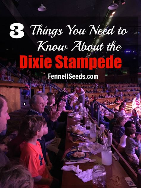 3 Things You Need to Know About the Dixie Stampede. We went and had a great time. Dixie Stampede, Branson Missouri Vacation, Ozarks Missouri, Retired Military, Branson Missouri, Gatlinburg Tennessee, Tennessee Vacation, Military Discounts, Online Tickets