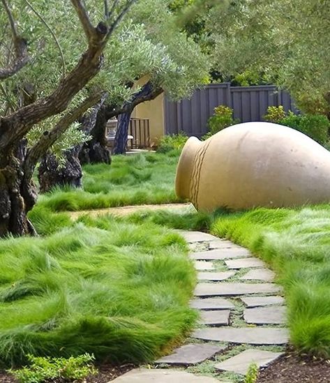 14 No Mow Lawn Alternative Ideas | Best Grass Alternatives Lawn Free Yard, Grass Alternative, Stone Garden Paths, Planting Grass, Sacred Garden, Lawn Alternatives, No Grass Backyard, Willow Grove, Flower Containers