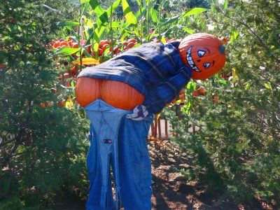 Scarecrow Ideas, Funny Halloween Decorations, Diy Scarecrow, Amazing Pumpkin Carving, Hallowen Ideas, Halloween Scarecrow, Pumpkin Carving Ideas, Halloween Pumpkin Designs, Adornos Halloween