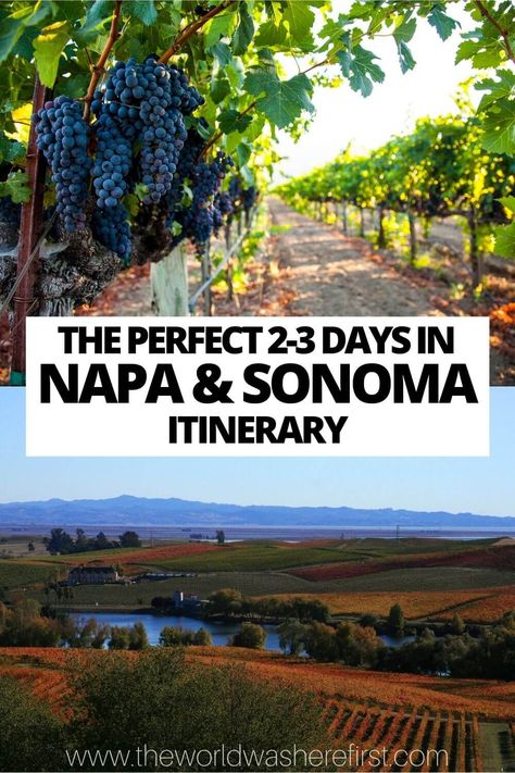 Planning a trip to California wine country? Check out this Napa & Sonoma itinerary to plan your perfect time in this iconic area! Sonoma Itinerary, Sonoma California Wineries, California Wine Country Vacation, Napa Valley Itinerary, Napa Valley Vineyards, Napa Valley Trip, Trip To California, Napa Trip, California Vineyards