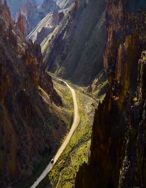 Timber Gulch Oregon, Timber Gulch, Pnw Travel, Winding Road, Luxury Vacation, Solo Travel, Beautiful World, Summer Vacation, Nature Art