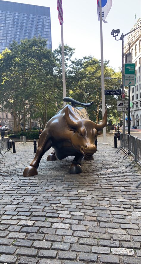 Charging Bull, Vaulting, New York, Quick Saves, Bonito