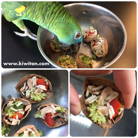 Parrot food enrichment: Walnuts filled with fresh vegetables and cereals. Bird Enrichment, Budgie Food, Homemade Bird Toys, Zoo Enrichment, Diy Parrot Toys, Diy Parrot, Conure Bird, Animal Enrichment, Bird Room