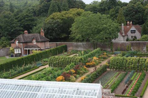 West Dean walled kitchen garden - this is a fabulous garden.  If you're in England and have the chance to visit, please do. Kitchen Gardens, Home Grown Vegetables, Garden Vegetable, Potager Garden, Walled Garden, Farmhouse Garden, Veg Garden, Home Grown, Wall Garden