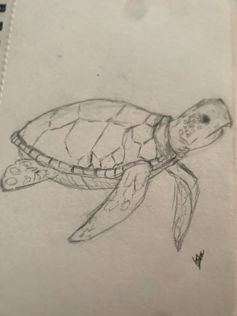 Aquatic Life Drawing, Marine Life Sketches, How To Draw Sea Animals, Marine Life Drawing, Green Aesthetic Outfit, Summer Sketches, Turtle Sketch, Wrist Tattoo Ideas, Wrist Tattoo Designs