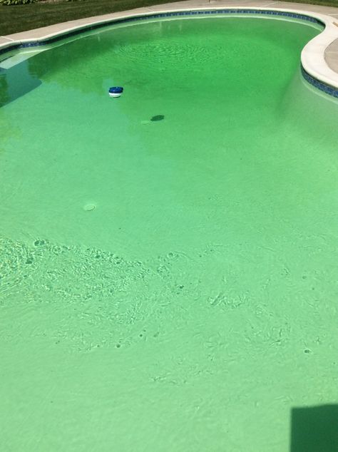 This customer added well water to the swimming pool and then shocked the pool.  Guess what happened?  The water turned bright green!  Why? When they shocked the water, the iron was oxidized and turned green.  To fix this add ascorbic acid and a CuLator Ultra 4.0. Well Water, Pool Maintenance, Water Well, Pool Cleaning, Ascorbic Acid, Bright Green, What Happened, The Pool, Swimming Pool