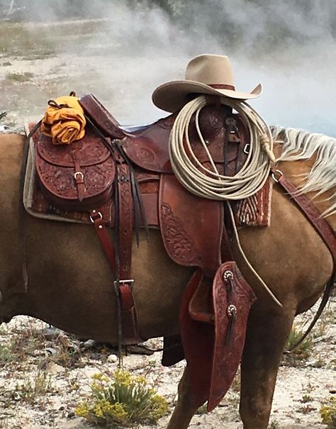 Women On Horseback, Western Trail Saddle, Western Horse Photography, Saddled Horse, Saddle Photography, Cowboy Saddle, Horse With Saddle, Wade Saddles, Cowboy Photography