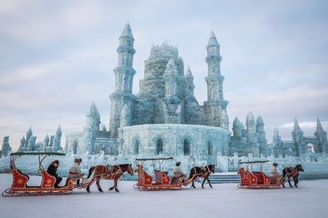 Harbin China, Ice Festival, Snow Festival, Ice Palace, China Russia, Snow Sculptures, Ice Show, Harbin, Worlds Largest