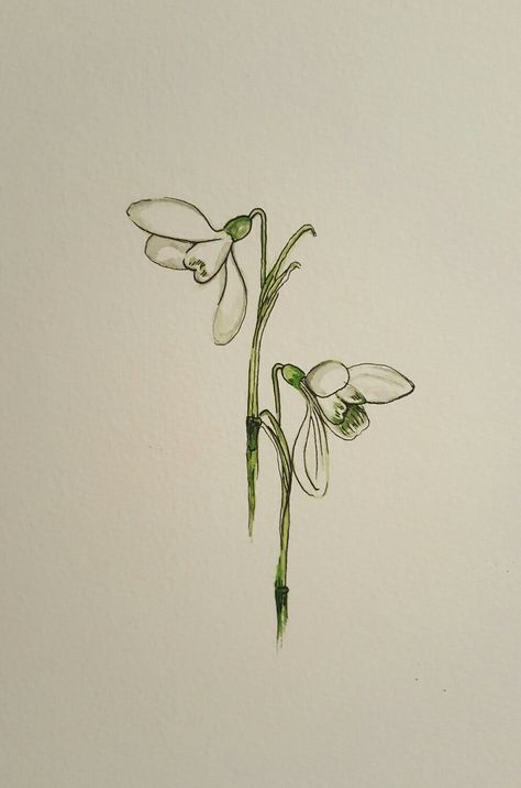 Snowdrops Watercolour, Grimoire Art, Snowdrop Flower, Smile Tattoo, Needle Work, Minimal Tattoo, Creative Tattoos, Stardust, Flower Drawing