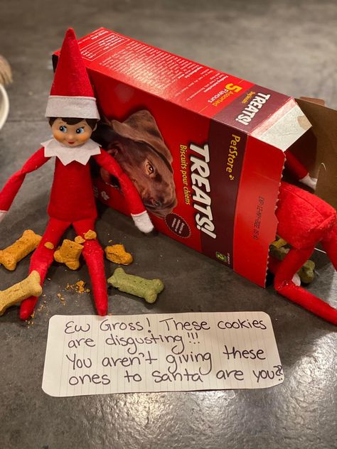 Elf On The Shelf Pet Ideas, Reindeer Pet, Leprechaun Tricks, Elf Ideas Easy, Elf Pets, Elf Arrival, Awesome Elf On The Shelf Ideas, Elf Antics, Elf Fun