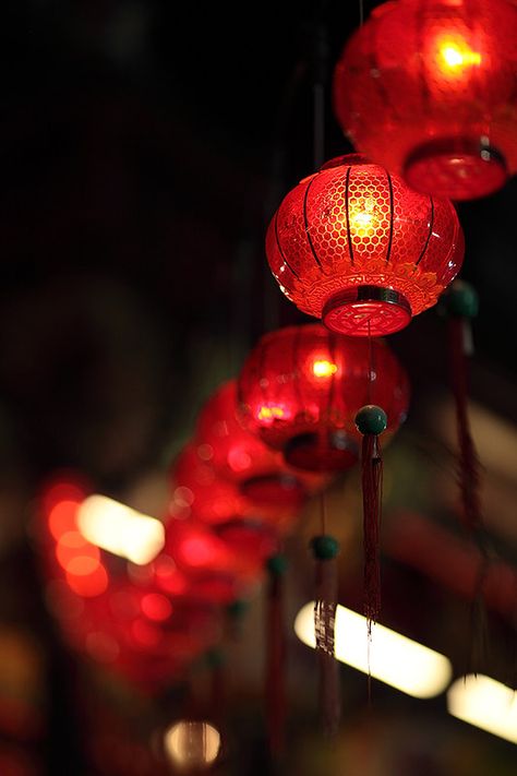 The Red Fairy Lights | CANON EOS 5D Mark II + EF 135mm f/2 L… | Flickr Red Lantern Aesthetic, Red Fairy Aesthetic, Light Red Aesthetic, Red Fairy Lights, Red Lanterns, Red Fairy, 16 Candles, Aesthetic Objects, Asian Vases