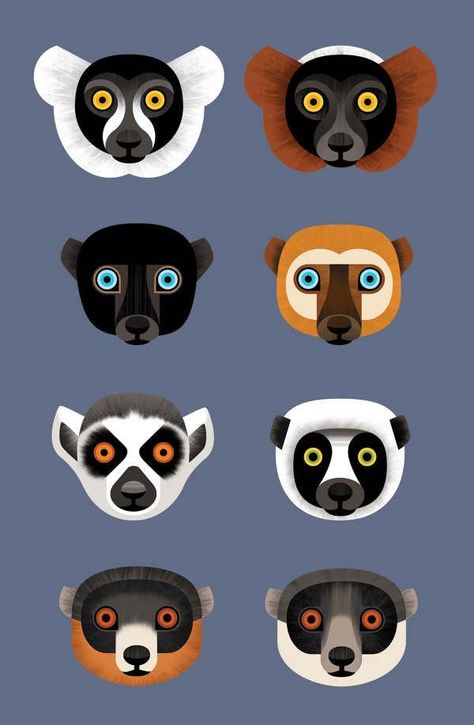 Zoo Signage, Lemur Art, Jungle Crafts, Animal Infographic, Zoo Art, Monkey Illustration, Wise Monkeys, Monkey Art, Galaxy Painting