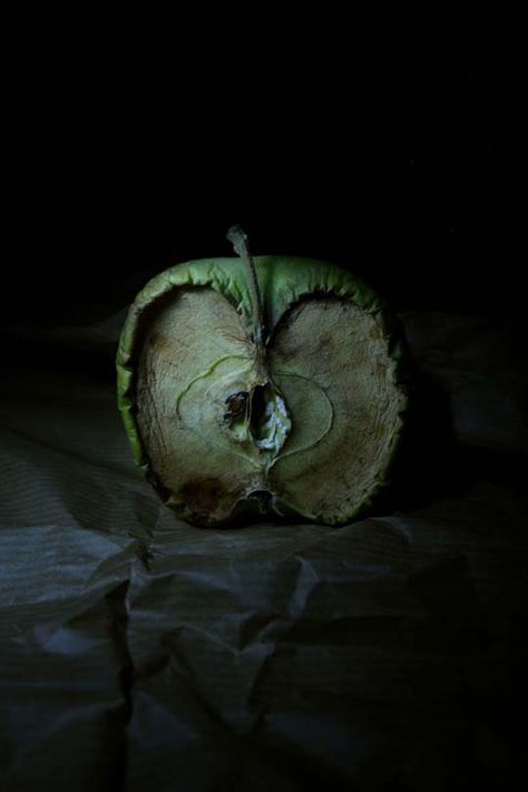 Great article on "still life photography where objects are in action without animation" Literature Photography, Decay Photography, Billy Kidd, Decay Art, Photography Snow, Growth And Decay, Passing Of Time, Photography Examples, Dark Green Aesthetic