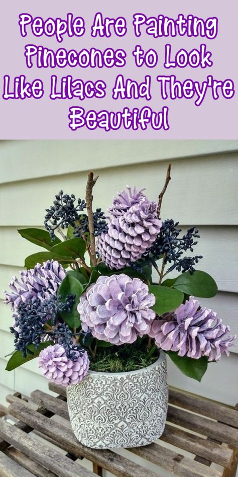 People Are Painting Pinecones to Look Like Lilacs And They Are Stunning Painted Pine Cones Flowers, Spray Painted Pine Cone Bouquet, Lilac Pine Cone Flowers, Pinecone Lilacs Diy, How To Dye Pine Cones, Pinecone Bouquet Diy, Pinecone Lilacs, Diy Acorn Crafts, How To Paint Pinecones