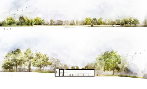 Strom Architects, Landscape Architecture Section, Section Elevation, Drawing Scenery, Section Drawing, Elevation Drawing, Architecture Elevation, Architecture Background, Tree Landscape