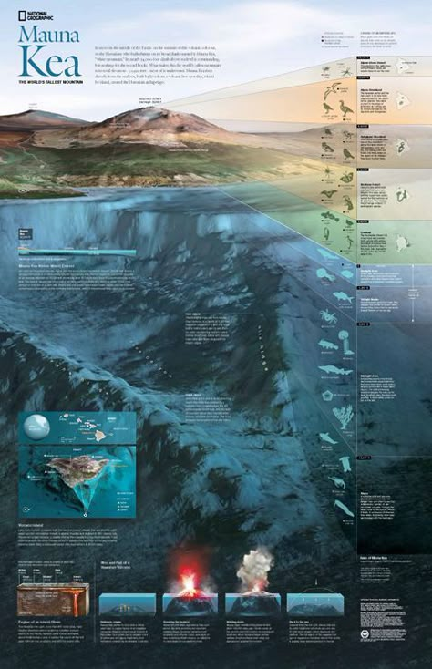 Mauna Kea World’s Tallest Mountain Architecture Visualization Photoshop, Animal Infographic, Exhibition Project, History Infographic, Project Theme, Mauna Kea, Information Visualization, Data Visualization Design, Infographic Poster