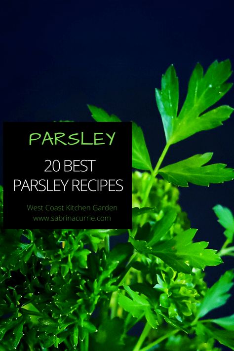 Best Recipes For Parsley, the easy to grow garden herb Fresh Parsley Recipes, West Coast Kitchen, Parsley Soup, Pasta Puttanesca Recipe, Vegan Carrot Soup, Parsley Sauce, Cooking With Fresh Herbs, Tabbouleh Recipe, Parsley Recipes