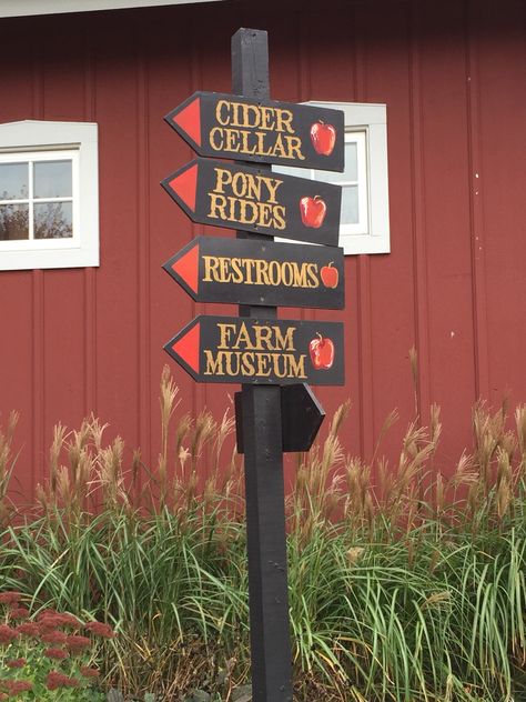 Apple Orchard Aesthetic, Orchard Aesthetic, Angry Orchard, Pony Rides, Apple Seeds, Apple Orchard, Autumn Aesthetic, Apple Cider, Cider