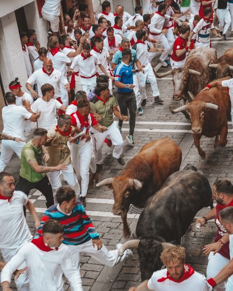 Controversial travel destination…I wasn’t even sure if I was going to post about it, but here we go➡️ When my husband told me he wanted to run with the bulls in Pamplona for his 50th birthday, my heart sank. How could I agree to this? The Running of the Bulls is steeped in controversy, and as a conscious traveler, I struggled with the decision. But this wasn’t just about the festival—it was about celebrating my husband’s incredible journey. After surviving two double lung transplants, every... Running With The Bulls Spain, Running With The Bulls, Pamplona Spain, Running Of The Bulls, Lung Transplant, European Culture, The Bull, My Struggle, Pamplona