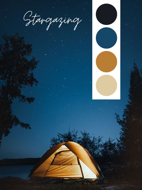 Stargazing, color palette, photography inspo, wedding color palette, color theory Color Palette Photography, Palette Color, Wedding Color Palette, Color Inspo, Dark Skies, Wedding Color, Photography Inspo, Color Theory, Colour Palette