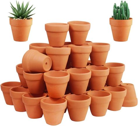 Amazon.com: 72 Pcs Small Mini Clay Pots - 2'' Terracotta Pot Ceramic Pottery Planter Terra Cotta Flower Pot Succulent Nursery Pots Great for Windowsill, Cactus Plant, Crafts, Wedding Favors Baby Shower : Patio, Lawn & Garden Mini Clay Pots, Succulent Nursery, Window Sill Decor, Small Terracotta Pots, Mini Clay, Plant Crafts, Planting Pot, Terracotta Flower Pots, Small Flower Pots