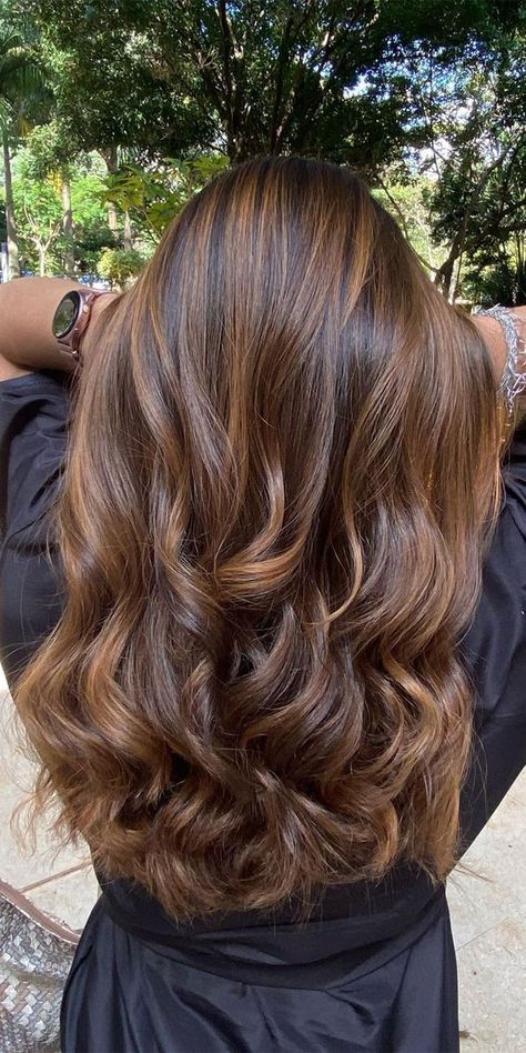 Hair Colour Brown Balayage, Chocolate Brown Hair With Light Brown Highlights, Caramel Balayage Layered Hair, Hair Color For Honey Brown Eyes, Gold Caramel Balayage, Gold Brown Highlights On Brown Hair, Darkish Brown Hair With Highlights, Chestnut Highlights On Brown Hair, Milk Brown Highlights