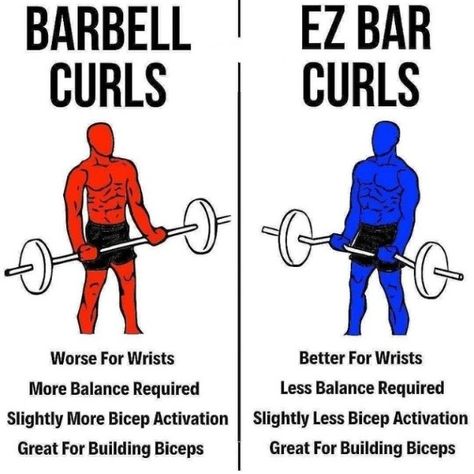 Difference between barbel Barbell curls vs Ez bar Curles for building a biceps which one is good for biceps Curls Workout, Muscular Strength Exercises, Barbell Curls, Calisthenics Training, Arm Workouts At Home, Curl Types, Different Types Of Curls, Workout Program Gym, Bodybuilding Workouts Routines