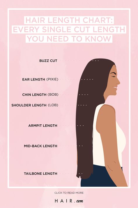 The next time you go to the salon, you can tell them EXACTLY what you want with this hair length chart in mind! Types Of Hair Lengths, Long Hair Length Chart, Tailbone Length Hair Styles, Tailbone Hair Length, Hair Growth Chart In Months, Fox Haircut Long Hair, Length Of Hair Chart, Lengths Of Hair Chart, Different Lengths Of Hair Chart