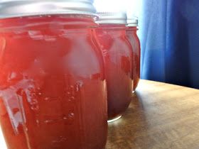 Kitchen Chemistry: Cinnamon Apple Syrup; Or, Upcycling Apple Peels Crab Apple Sauce, Spaghetti Sauce For Canning, Tomatoes For Canning, Crab Apple Recipes, Canning Peppers, Canned Spaghetti Sauce, Oven Roasted Tomatoes, Canning Recipe, Canning Tips