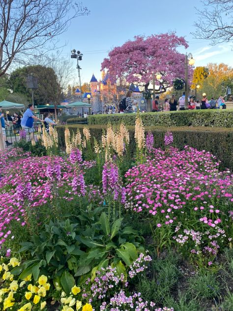 Flowers at the disneyland castle :) Fairies Exist, Spring Pics, Disneyland Ca, Disneyland Castle, Lauren Asher, Disney Adult, Spring Pictures, Book Aesthetics, Outdoor Ideas