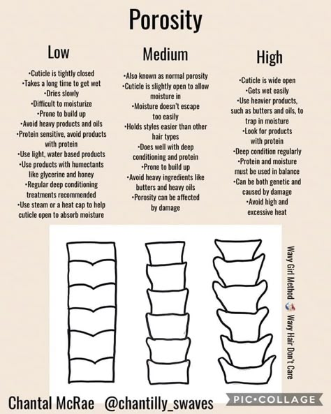 Hair Porosity Test, Low Porosity Hair Care, Low Porosity Hair, Natural Hair Care Routine, Healthy Hair Routine, High Porosity Hair, Hair Test, Low Porosity, Natural Hair Growth Tips