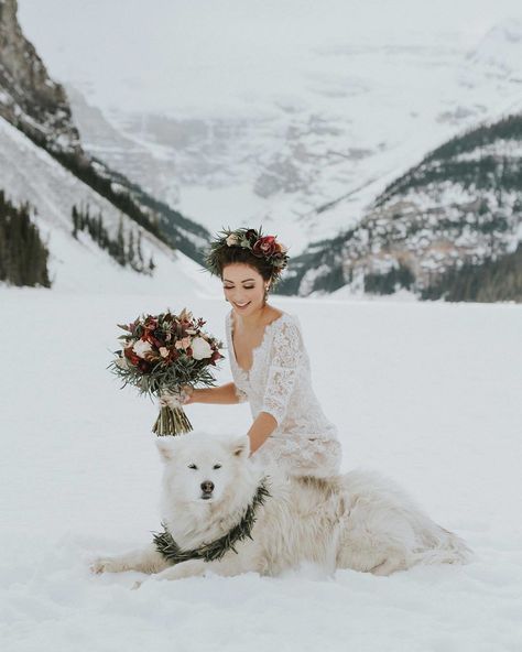 Wedding Photo Inspiration on Instagram: “Winter Inspiration by @darren_roberts_ ❄ 💫 send photo: 💍 WeddingPhotoInspiration.com (active link in bio👆🏼)” Winter Wedding Photography, Shots Wedding, Winter Wedding Photos, Urban Wedding Venue, Wedding Photography Ideas, Wedding Pose, Aline Wedding Dress, Wedding Venue Inspiration, Wedding Pets