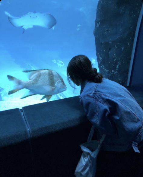 Toy Story Gifts, Aquarium Pictures, Ocean Aquarium, Underwater City, Rosé Aesthetic, Sea Photo, Ocean Park, Beautiful Art Pictures, Stylish Photo Pose