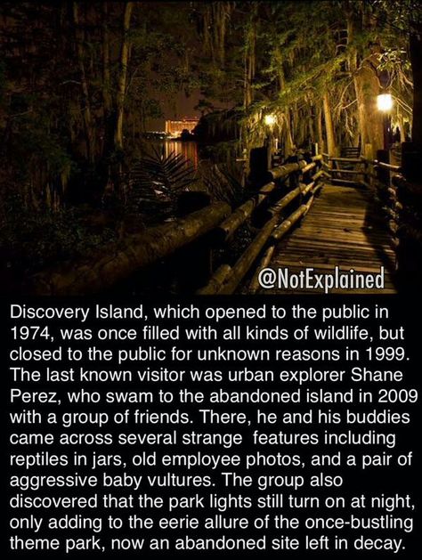 Disney's Discovery Island~ Creepy Disney, Discovery Island, Disneyland World, Disneyland Attractions, Disney World Hotels, Legends And Myths, Main Street Usa, Disney Facts, Historical Images