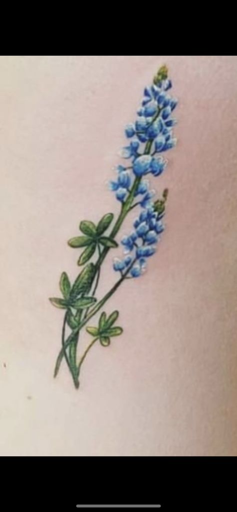 Texas Bluebonnets Tattoo, Texas Bluebonnet Tattoo, Blue Bonnet Tattoo, Bluebonnet Tattoo, Paintbrush Tattoo, Lady Tattoo, Texas Tattoos, Blue Bonnet, Indian Paintbrush