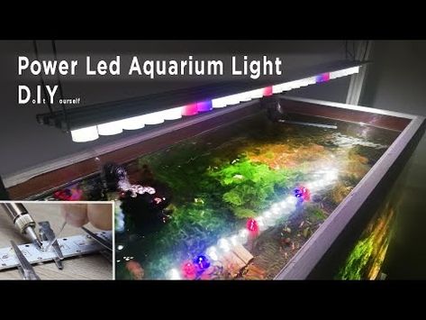 (187) DIY Power Led Aquarium Light & Building an Armature - YouTube Led Lamp Diy, Aquarium Light, Led Aquarium, Led Aquarium Lighting, Diy Led, Aquarium Lighting, Led Diy, Light Building, Power Led